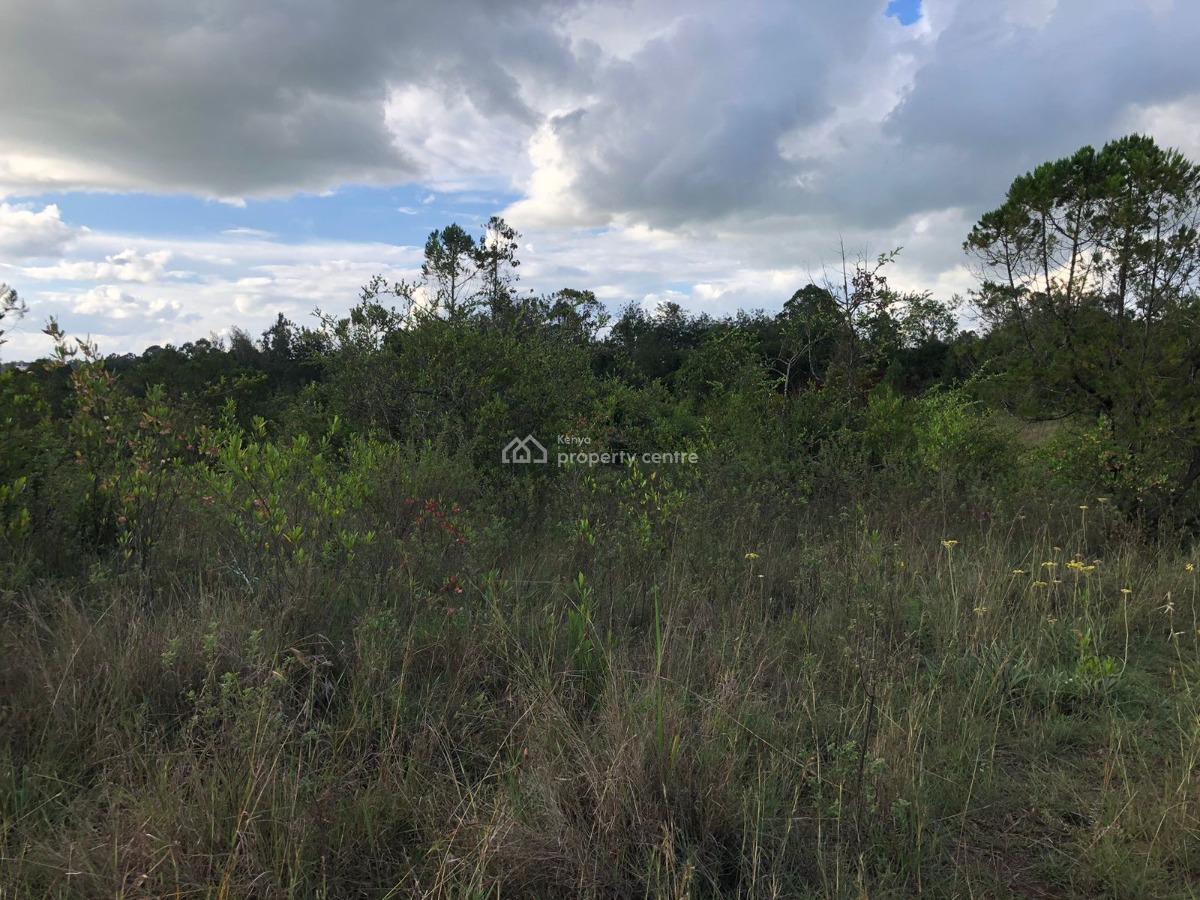 1 Acre Prime Plot, Nuru, Nanyuki, Laikipia, Residential Land for Sale