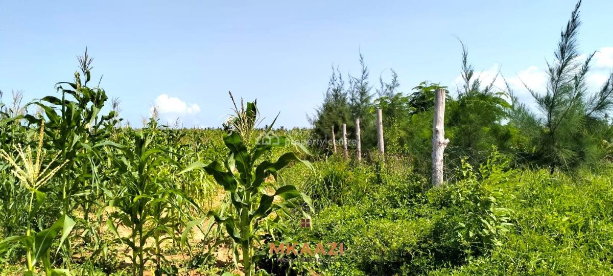 1.45 Acres Prime Beachside Land in Chumani -- Kilifi, Chumani, Matsangoni, Kilifi, Land for Sale