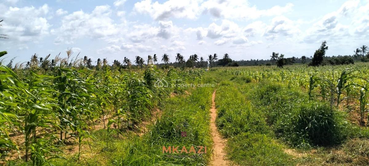 1.45 Acres Prime Beachside Land in Chumani -- Kilifi, Chumani, Matsangoni, Kilifi, Land for Sale
