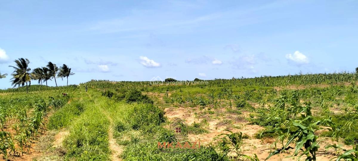1.45 Acres Prime Beachside Land in Chumani -- Kilifi, Chumani, Matsangoni, Kilifi, Land for Sale