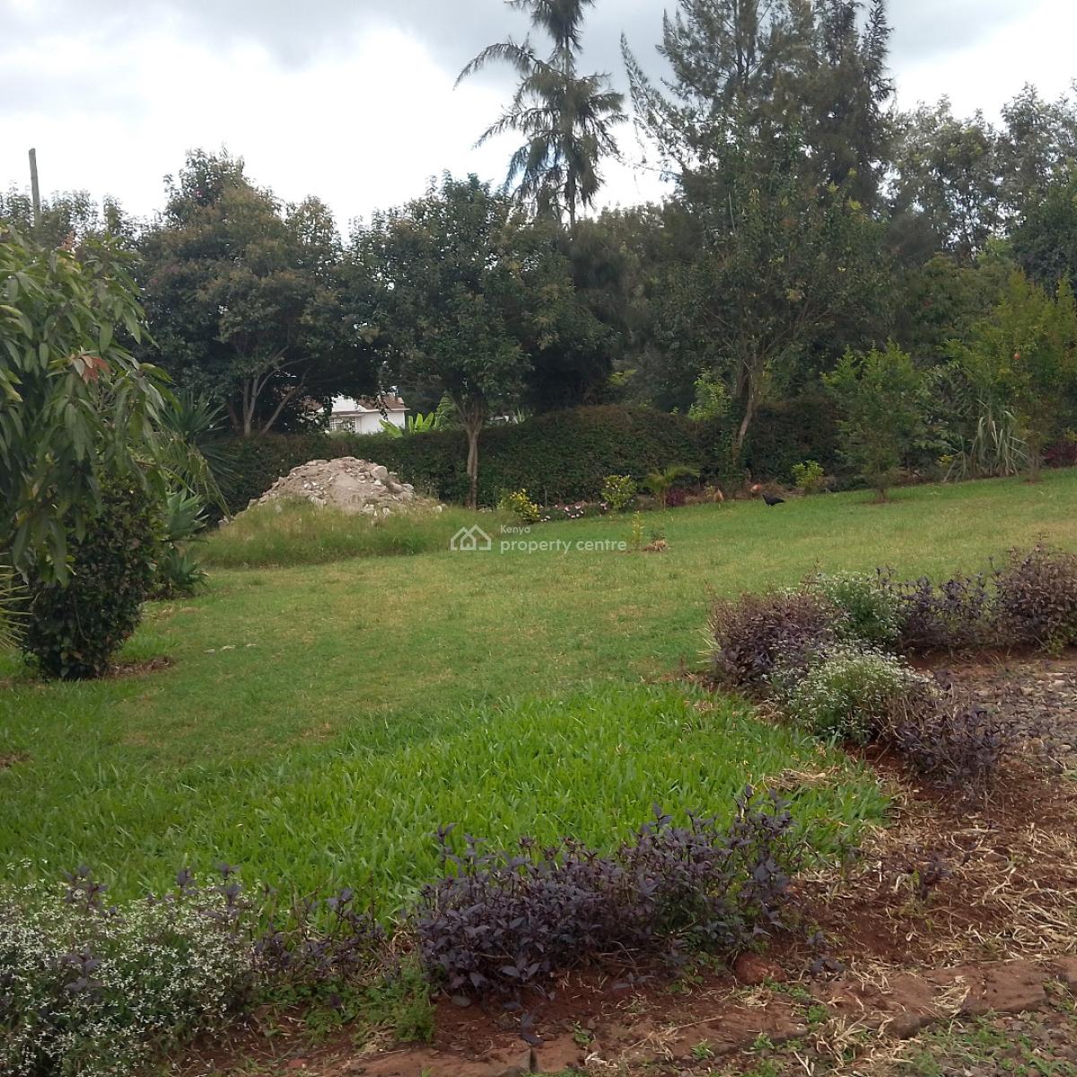 3 Bedroom Bungalow, Karen, Nairobi, Semi-detached Bungalow for Rent