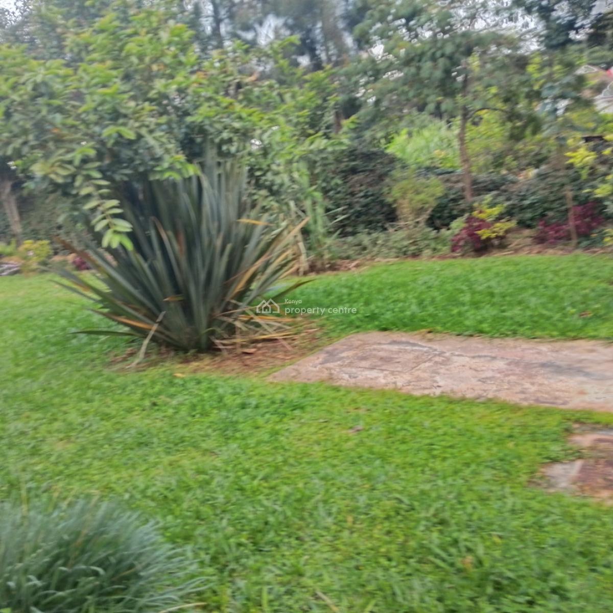 3 Bedroom Bungalow, Karen, Nairobi, Semi-detached Bungalow for Rent