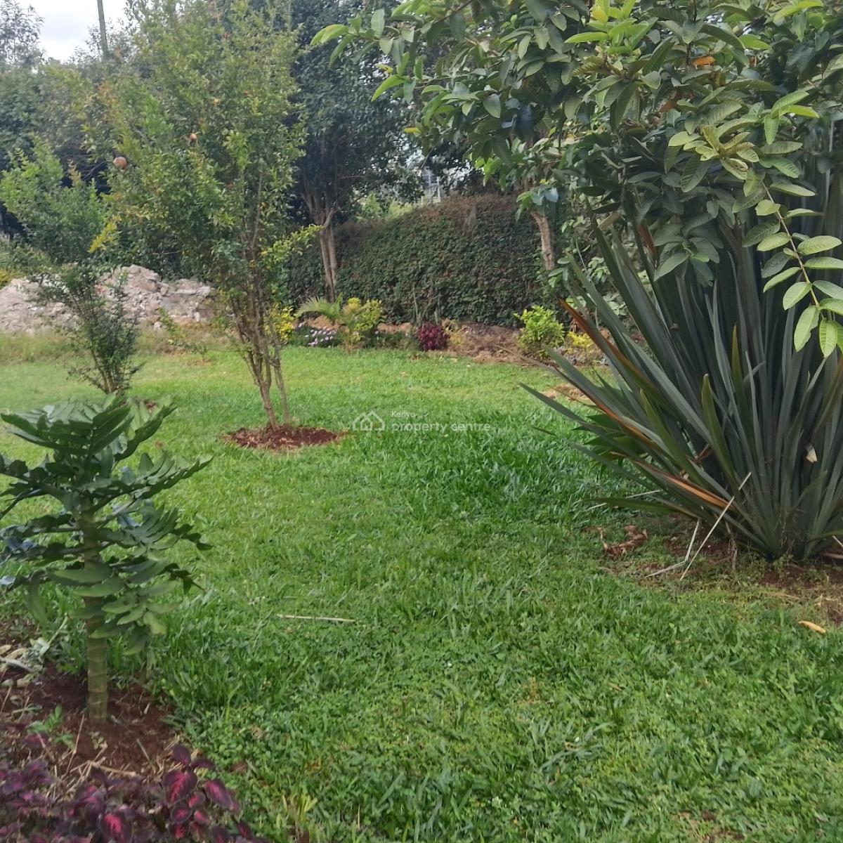 3 Bedroom Bungalow, Karen, Nairobi, Semi-detached Bungalow for Rent