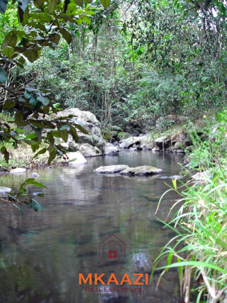 1,800-acres Luxury Ranch & Wildlife Estate in Naivasha, Lake Naivasha, Naivasha East, Nakuru, Land for Sale