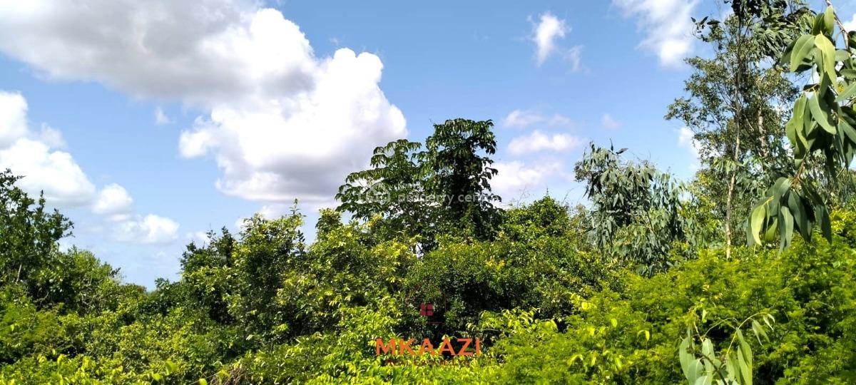 Prime 12.3-acre Land in Malindi, Kakuyuni Near Arabuko Forest, Kakuyuni, Malindi Town, Kilifi, Land for Sale