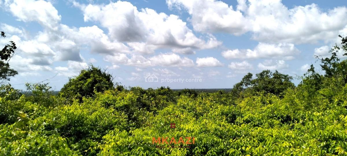 Prime 12.3-acre Land in Malindi, Kakuyuni Near Arabuko Forest, Kakuyuni, Malindi Town, Kilifi, Land for Sale