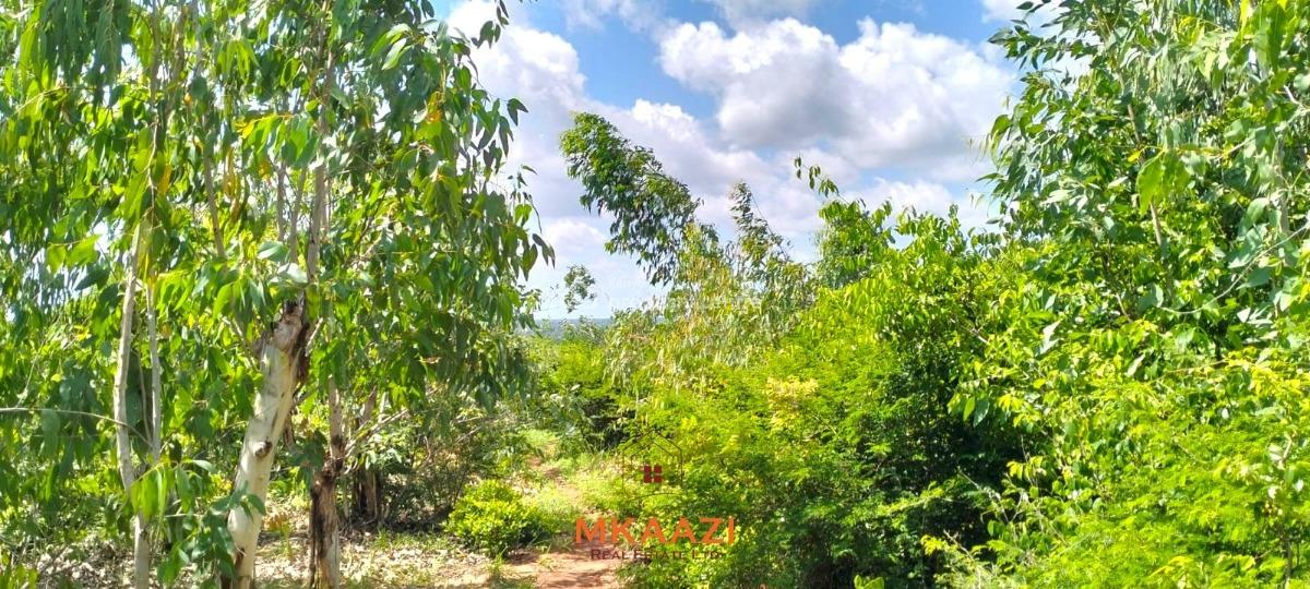 Prime 12.3-acre Land in Malindi, Kakuyuni Near Arabuko Forest, Kakuyuni, Malindi Town, Kilifi, Land for Sale
