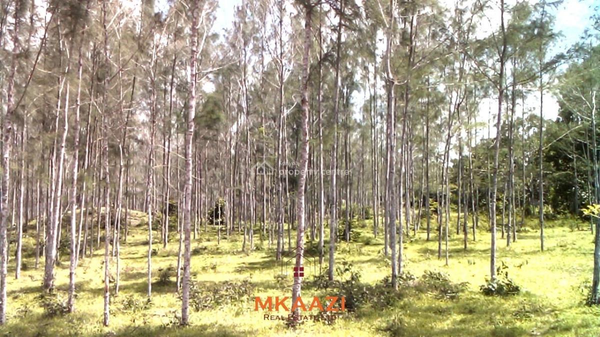Prime 15-acre Land, Kakuyuni, Malindi Town, Kilifi, Land for Sale