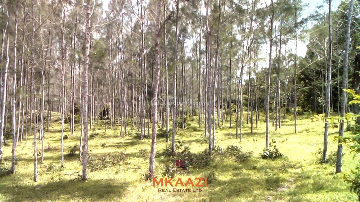 Prime 15-acre Land, Kakuyuni, Malindi Town, Kilifi, Land for Sale