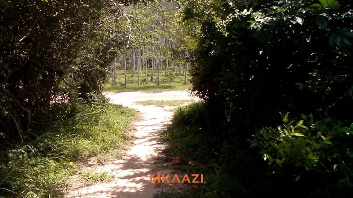 Prime 15-acre Land, Kakuyuni, Malindi Town, Kilifi, Land for Sale