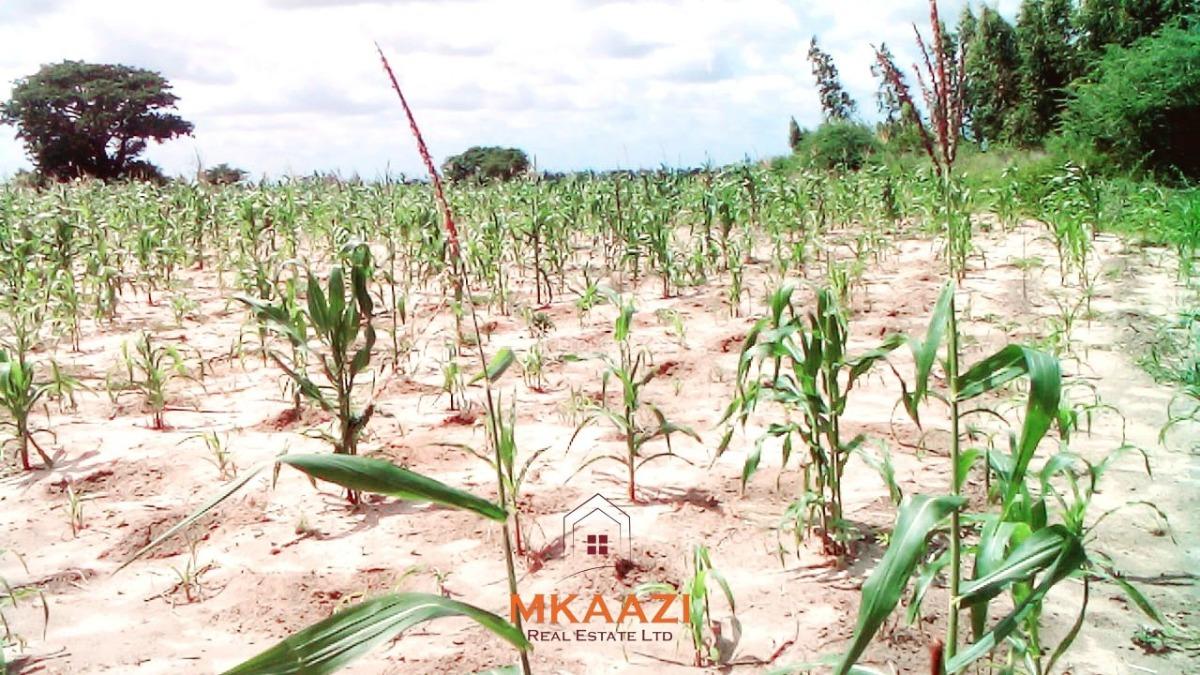 Prime 15-acre Land, Kakuyuni, Malindi Town, Kilifi, Land for Sale