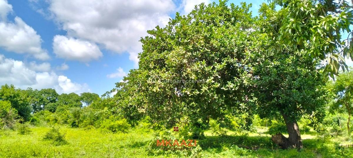 Prime 2.5-acre Land, Kakuyuni, Malindi Town, Kilifi, Land for Sale