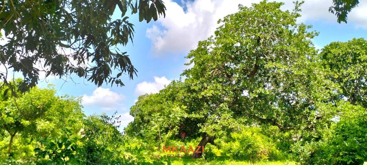 Prime 2.5-acre Land, Kakuyuni, Malindi Town, Kilifi, Land for Sale