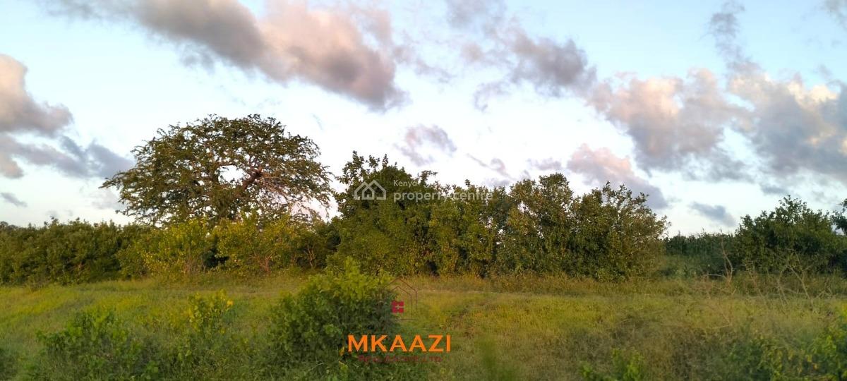Prime 37 Acres Riverfront Land in Marafa, Malindi, Marafa, Malindi Town, Kilifi, Land for Sale