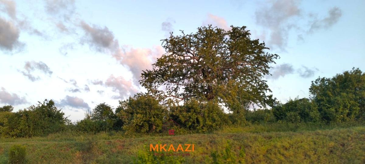 Prime 37 Acres Riverfront Land in Marafa, Malindi, Marafa, Malindi Town, Kilifi, Land for Sale
