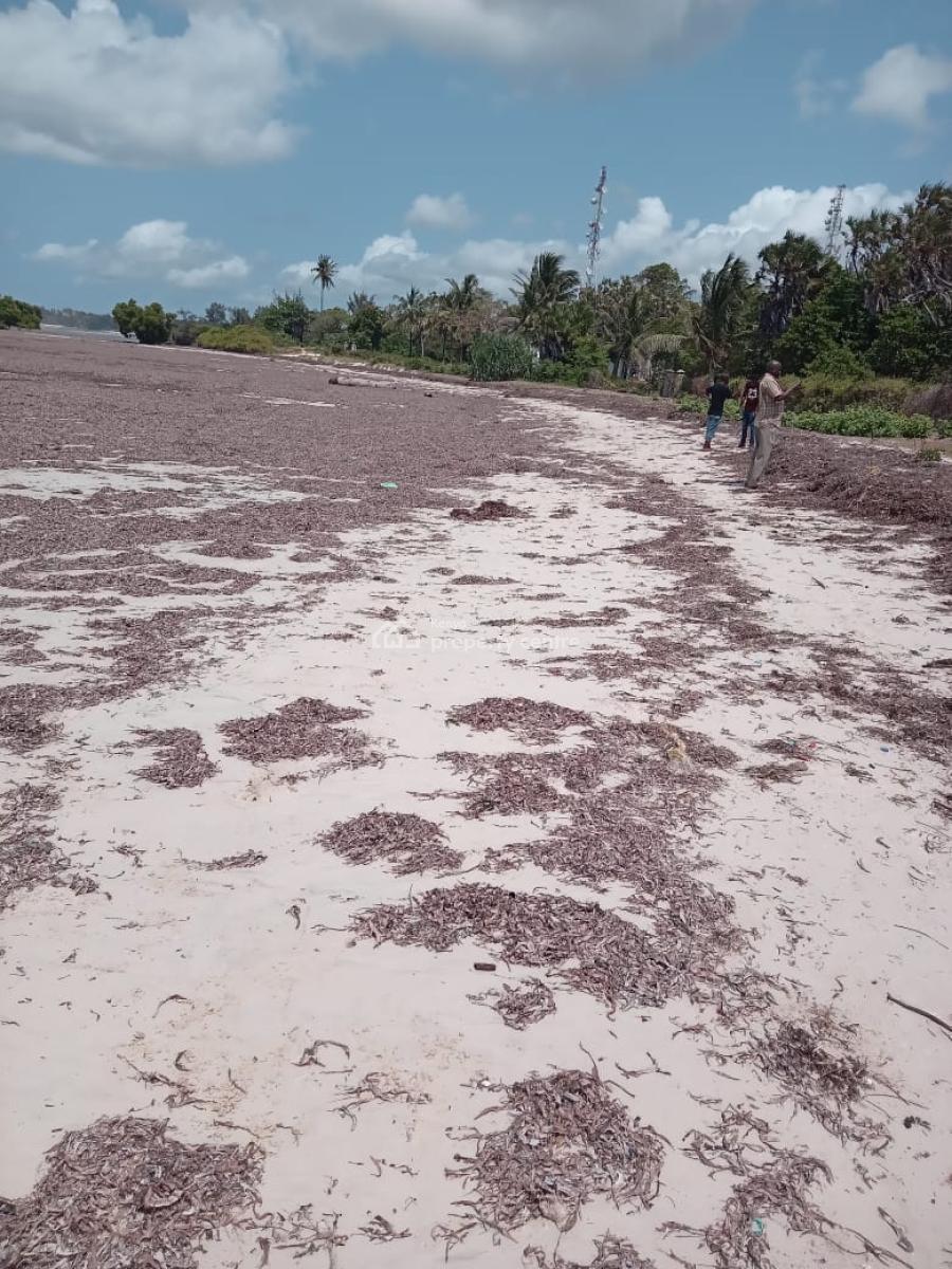 2 Acres Beach Property in Msambweni Asking Price Is Kshs. 86, Kwale, Ukunda, Kwale, Mixed-use Land for Sale