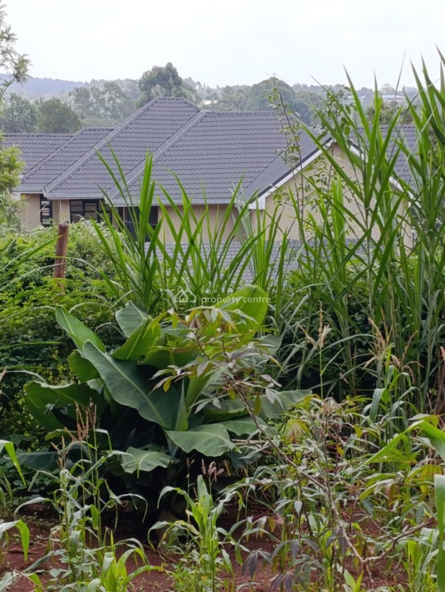 1/4 Acre Plot Kerarapon Drive South (near Vet)14.5, Kerarapon, Ongata Rongai, Kajiado, Land for Sale