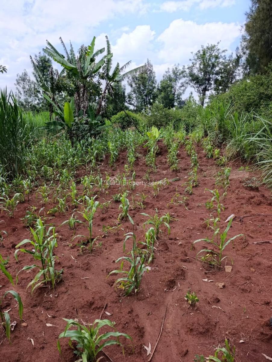 1/4 Acre Plot Kerarapon Drive South (near Vet)14.5, Kerarapon, Ongata Rongai, Kajiado, Land for Sale