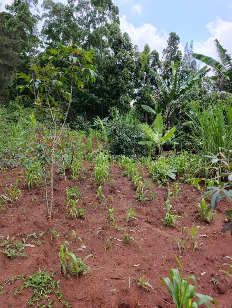1/4 Acre Plot Kerarapon Drive South (near Vet)14.5, Kerarapon, Ongata Rongai, Kajiado, Land for Sale