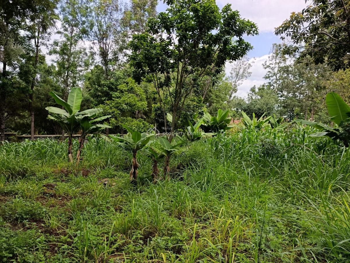 Premium 1 Acre Plot Kerarapon Drive 17 65m, Kerarapon, Ngong, Kajiado, Land for Sale
