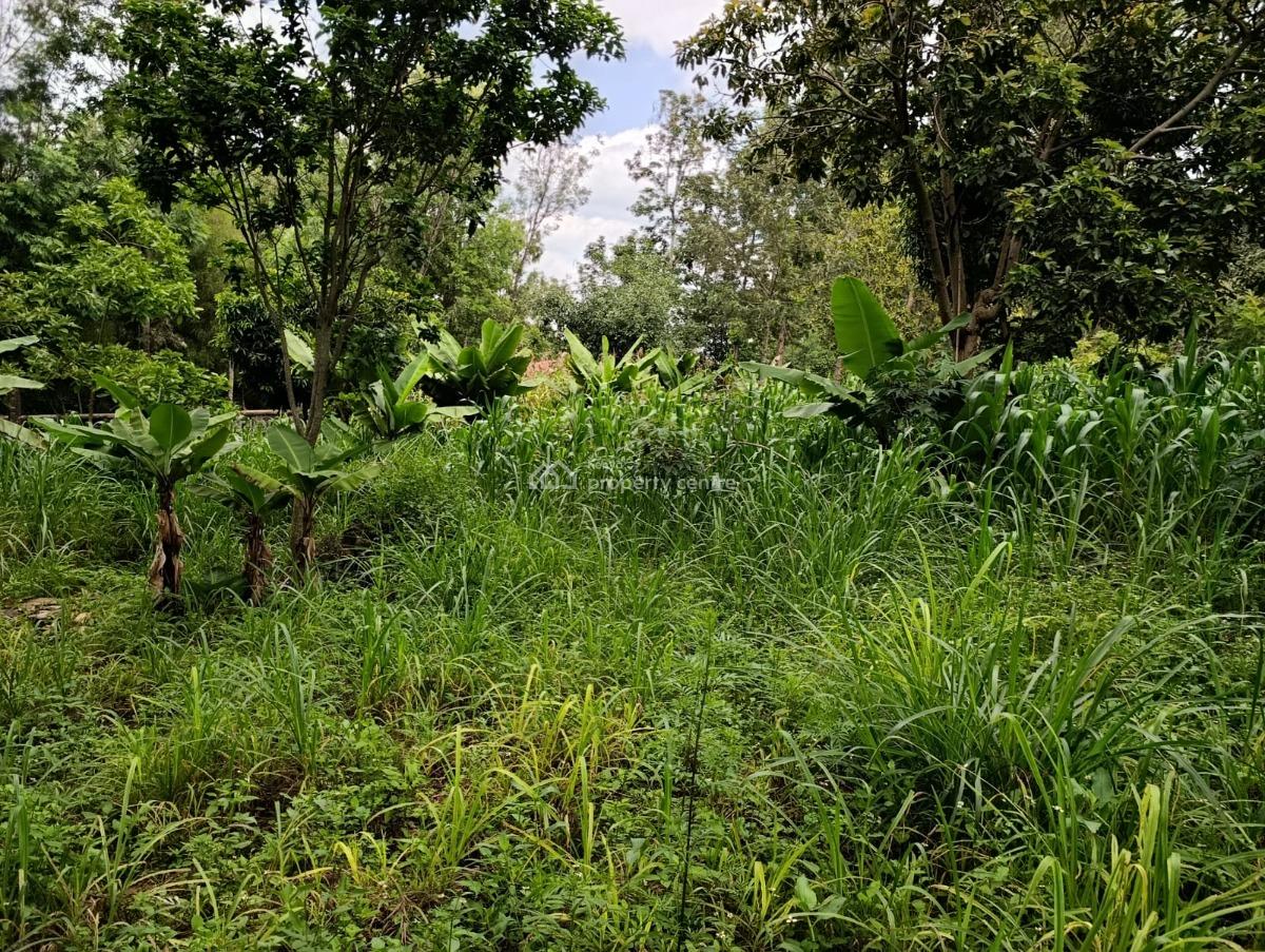 Premium 1 Acre Plot Kerarapon Drive 17 65m, Kerarapon, Ngong, Kajiado, Land for Sale