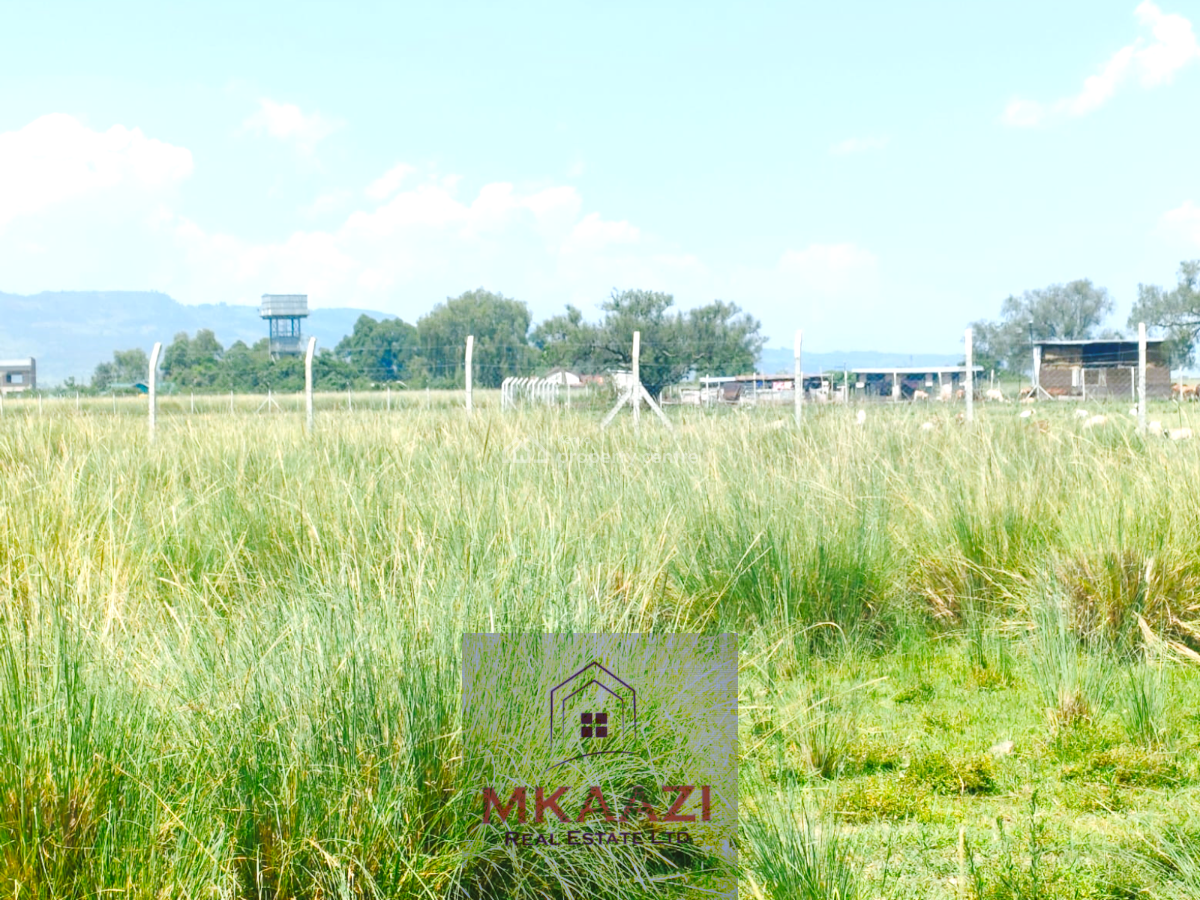 Prime Quarter Acre Plot in Barnabas, Nakuru, Barnabas, Gilgil, Nakuru, Land for Sale