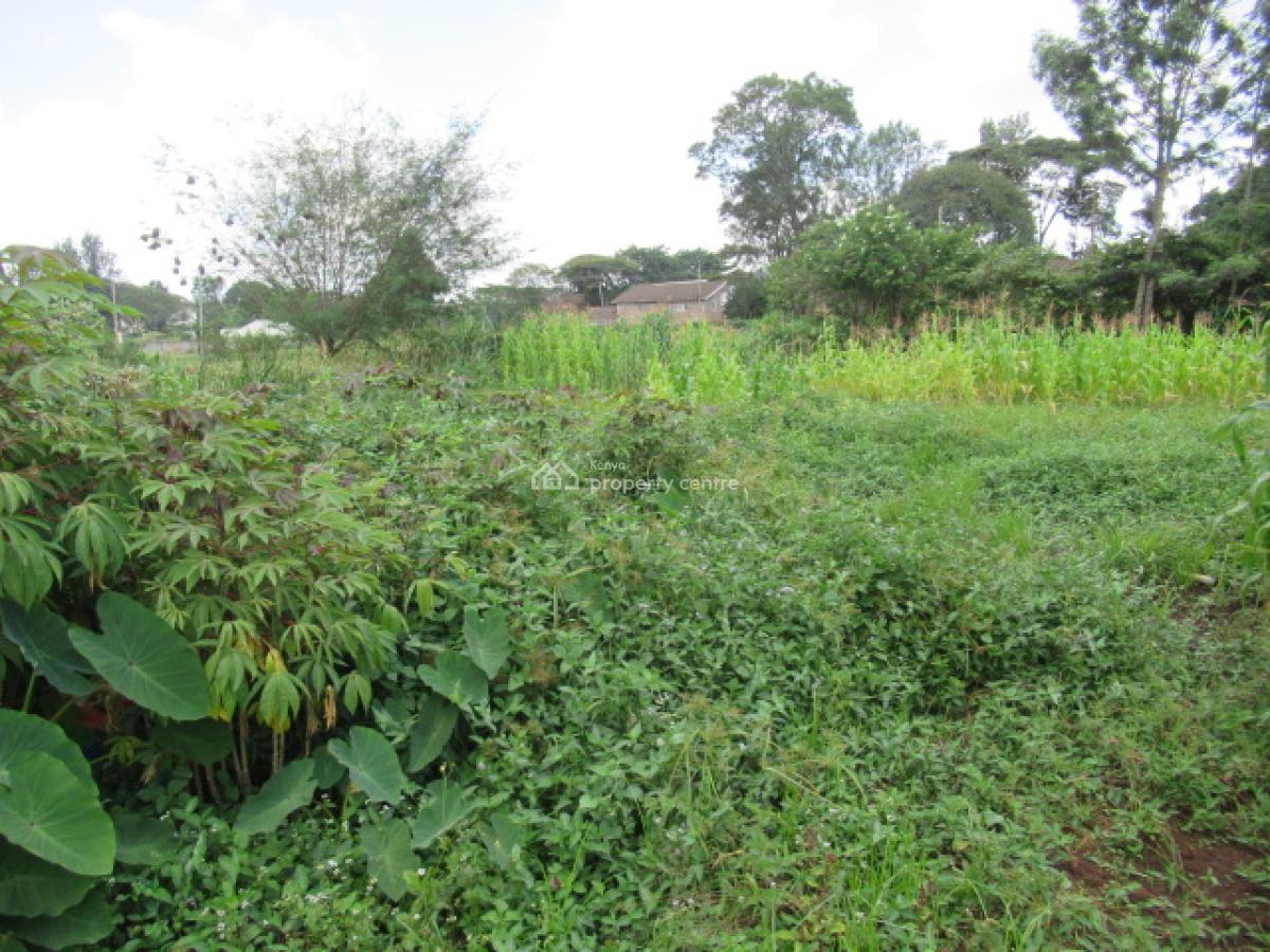 0.365-acre Plot, Mushroom Gardens, Thindigua, Nairobi, Residential Land for Sale