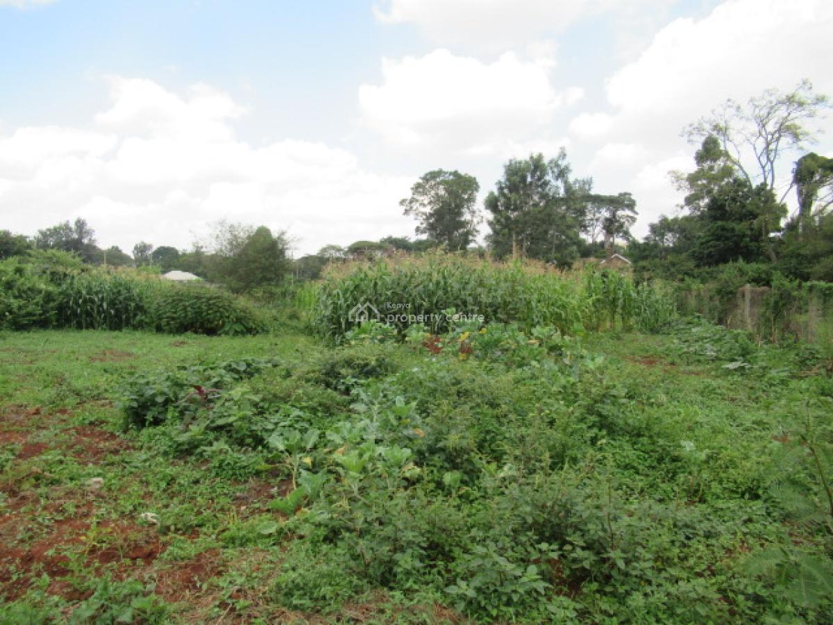 0.365-acre Plot, Mushroom Gardens, Thindigua, Nairobi, Residential Land for Sale