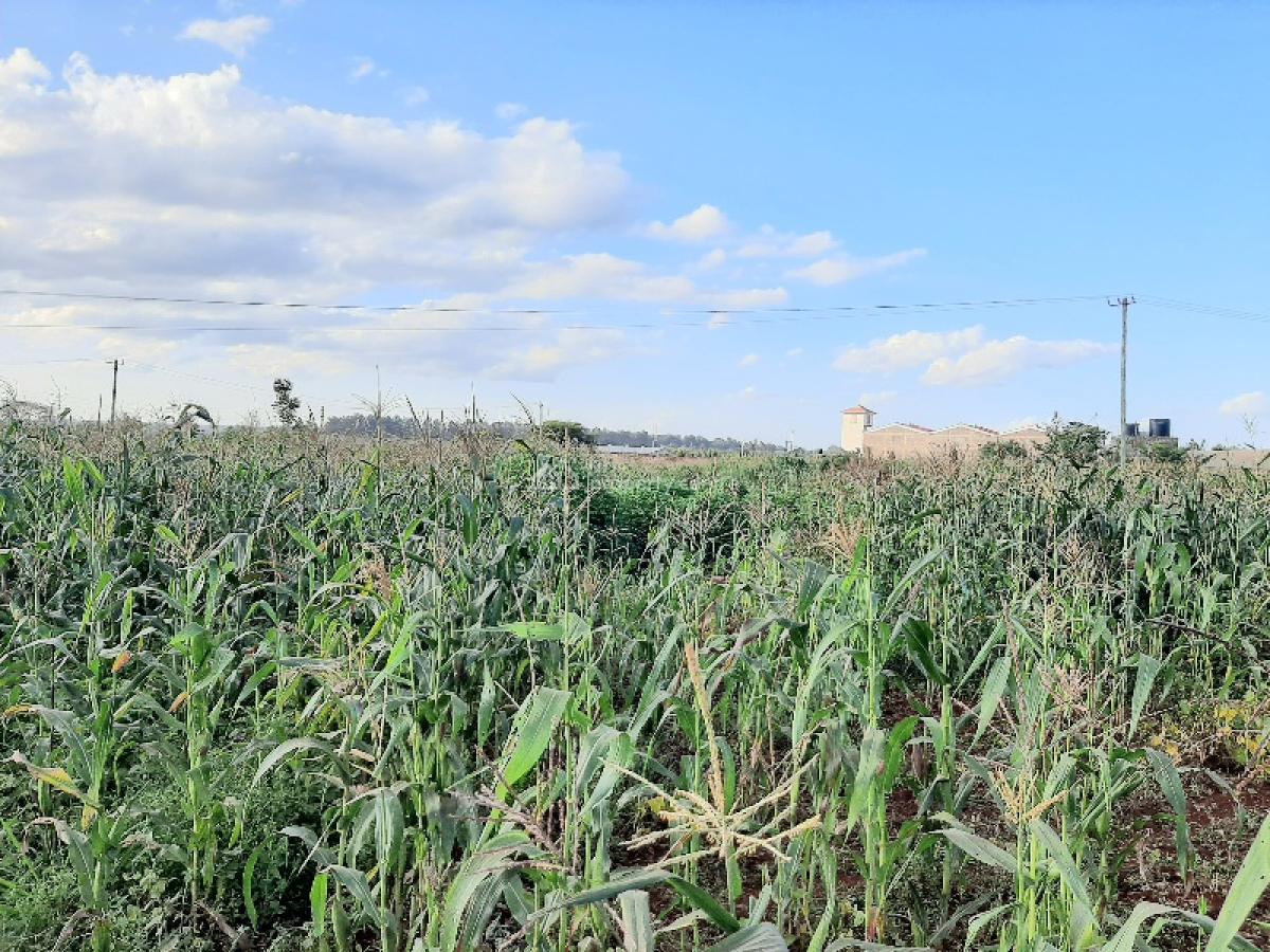 Prime 100 By 100 Feet Industrial Plot, Del Monte Road, Hospital (thika), Kiambu, Commercial Land for Sale
