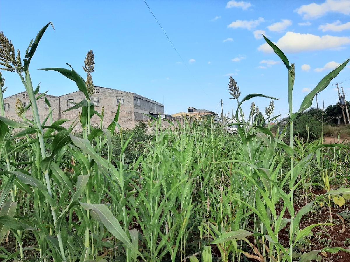 Prime 100 By 100 Feet Industrial Plot, Del Monte Road, Hospital (thika), Kiambu, Commercial Land for Sale