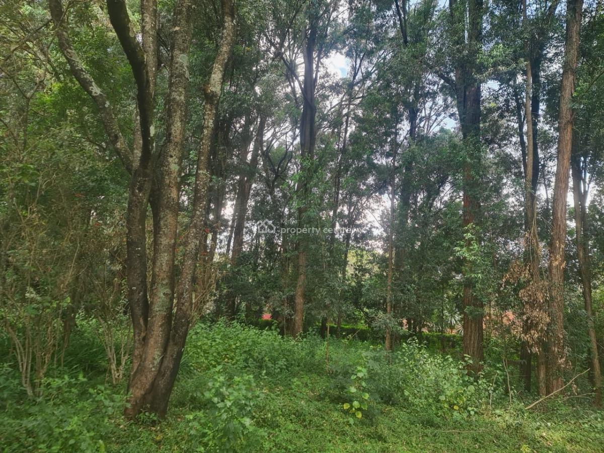 1 Acre Along Bogani Road Fertile Red Soil,mature Indigenous Trees Secu, Karen Bogani, Karen, Nairobi, Mixed-use Land for Sale