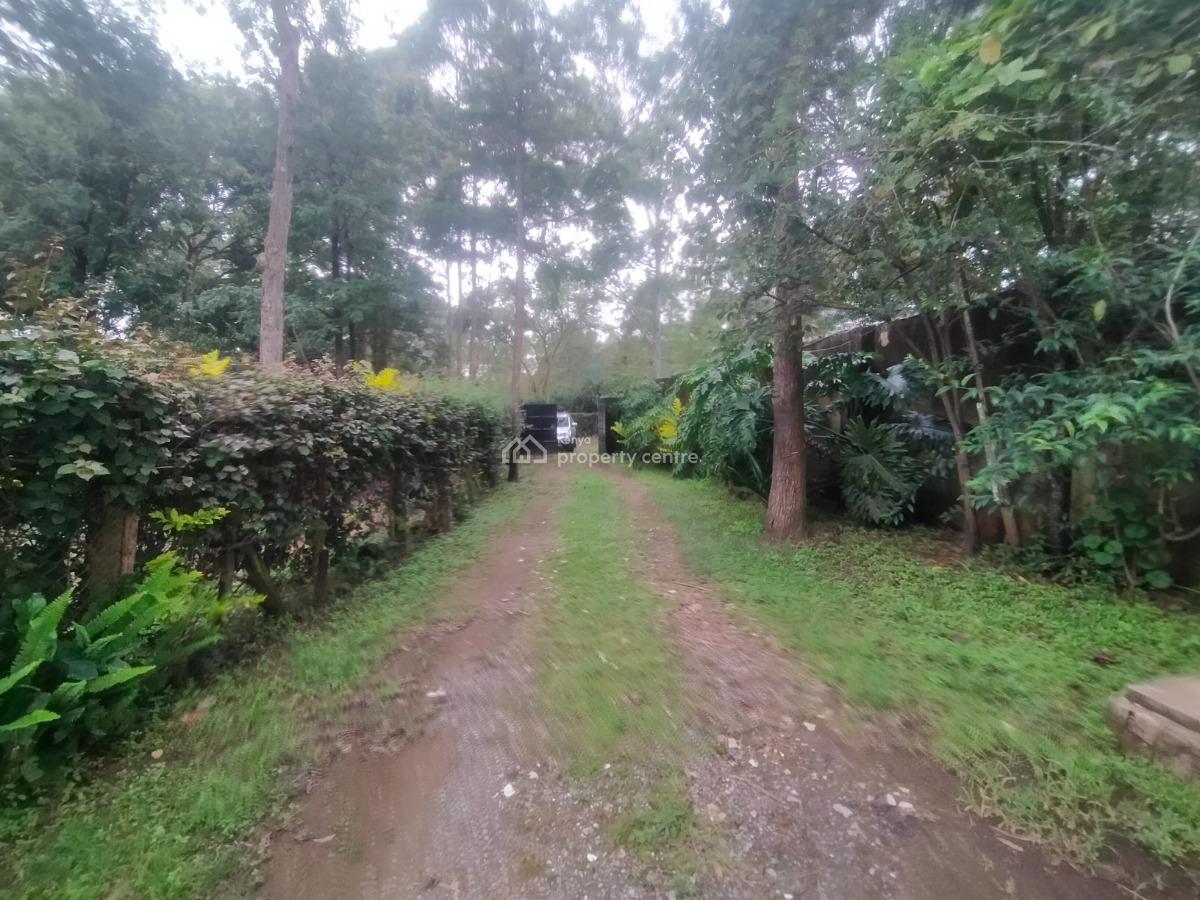 Affordable Commercial / Residential 3 Bedroom Bungalow Karen Near Gari, Karen, Nairobi, Detached Bungalow for Rent