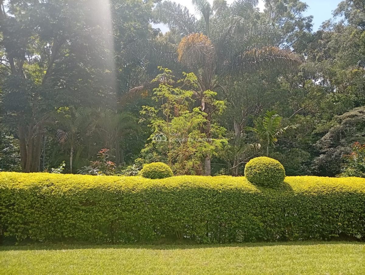 Fully Furnished 3-bedroom Master En-suite, Peponi, Nairobi Central, Nairobi, Apartment for Rent