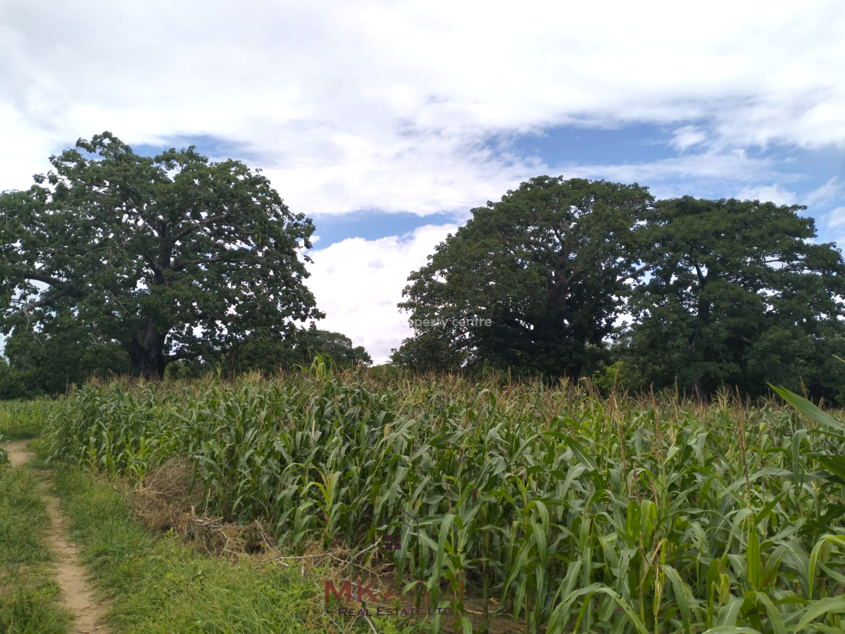 Prime 2.25-acres Land in Msabaha, Malindi, Msabaha, Malindi Town, Kilifi, Land for Sale