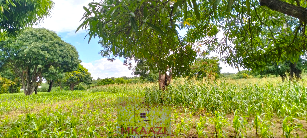 Prime 2.25-acres Land in Msabaha, Malindi, Msabaha, Malindi Town, Kilifi, Land for Sale