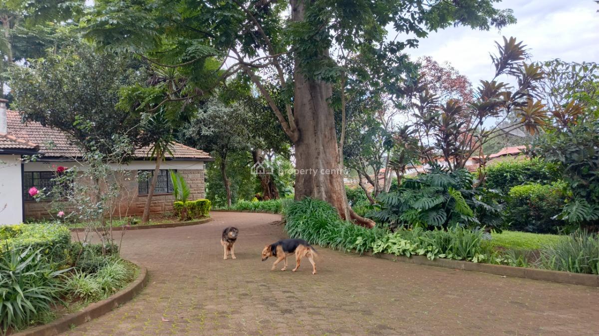 an Elegant 5 Bedrooms Plus 2dsq Stand Alone, Apple Cross, Lavington, Nairobi, Commercial Property for Rent
