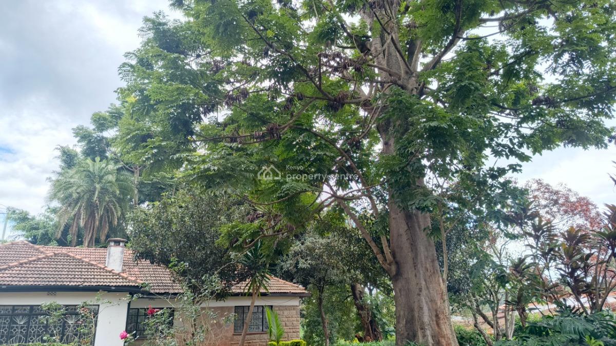 an Elegant 5 Bedrooms Plus 2dsq Stand Alone, Apple Cross, Lavington, Nairobi, Commercial Property for Rent