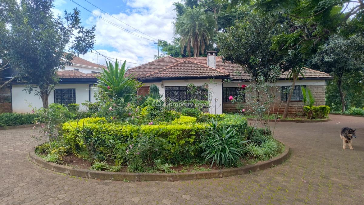 an Elegant 5 Bedrooms Plus 2dsq Stand Alone, Apple Cross, Lavington, Nairobi, Commercial Property for Rent