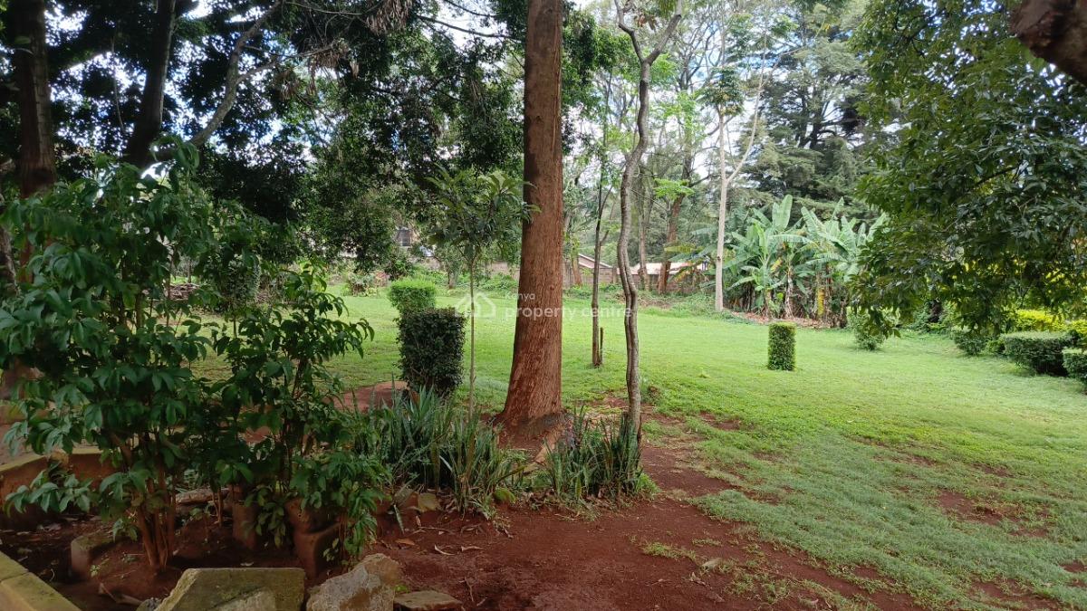 an Elegant 5 Bedrooms Plus 2dsq Stand Alone, Apple Cross, Lavington, Nairobi, Commercial Property for Rent