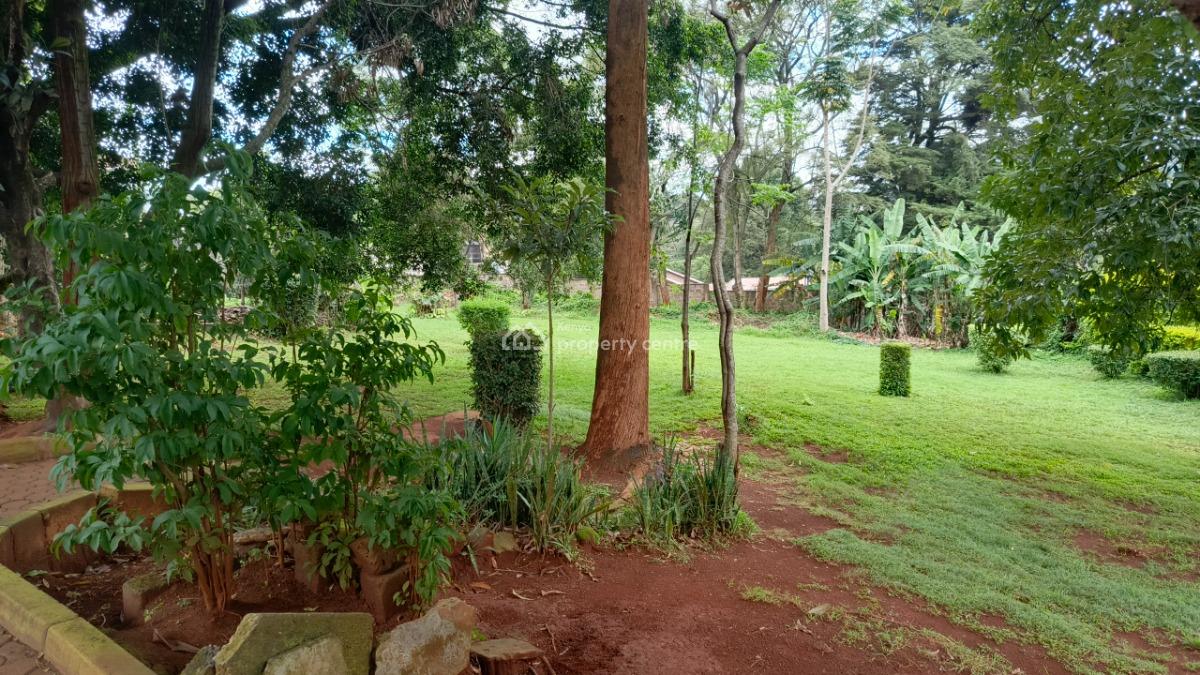 an Elegant 5 Bedrooms Plus 2dsq Stand Alone, Apple Cross, Lavington, Nairobi, Commercial Property for Rent