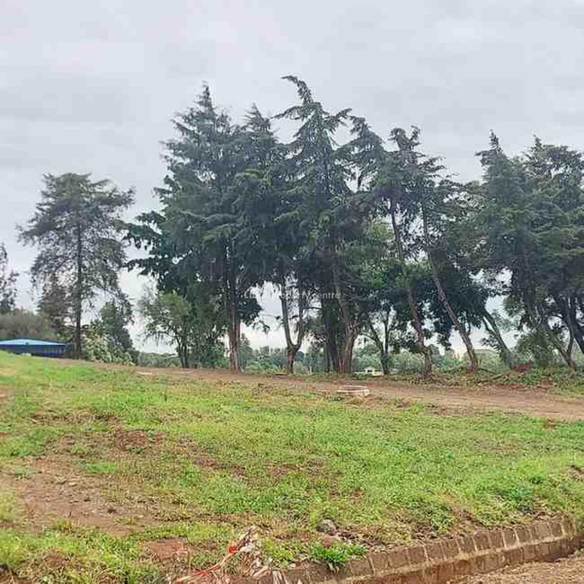 Commercial Plots in Ngong, Lemiso Road, Ngong, Kajiado, Commercial Land for Sale