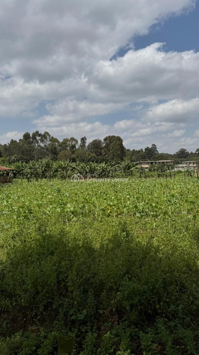 Half Acre Plots in Karen, Karen, Nairobi, Land for Sale