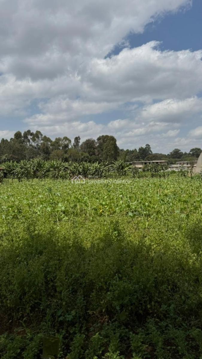 Half Acre Plots in Karen, Karen, Nairobi, Land for Sale