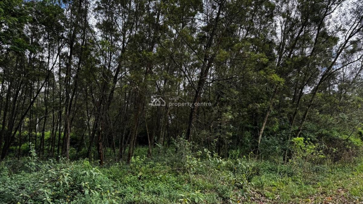 5 Acre Parcel in Karen, Karen, Nairobi, Land for Sale