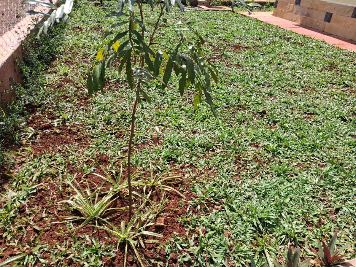 3 Bedroom House in Karen, Karen, Nairobi, House for Rent