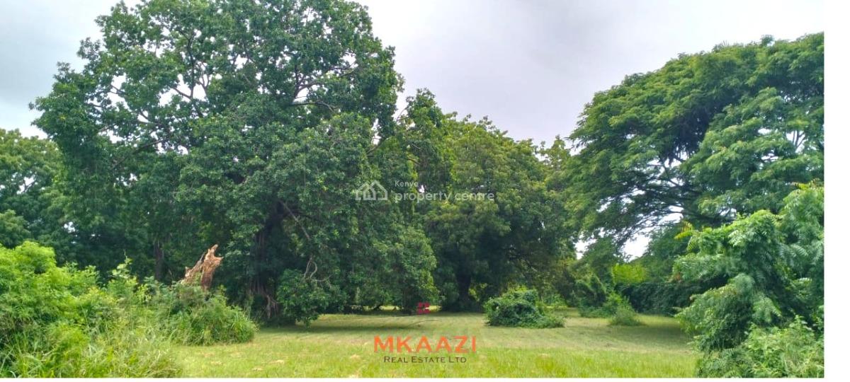 Prime Quarter-acre Investment Plots Next to Mwembe Resort, Ma, Mwembe Resort, Malindi Town, Kilifi, Land for Sale