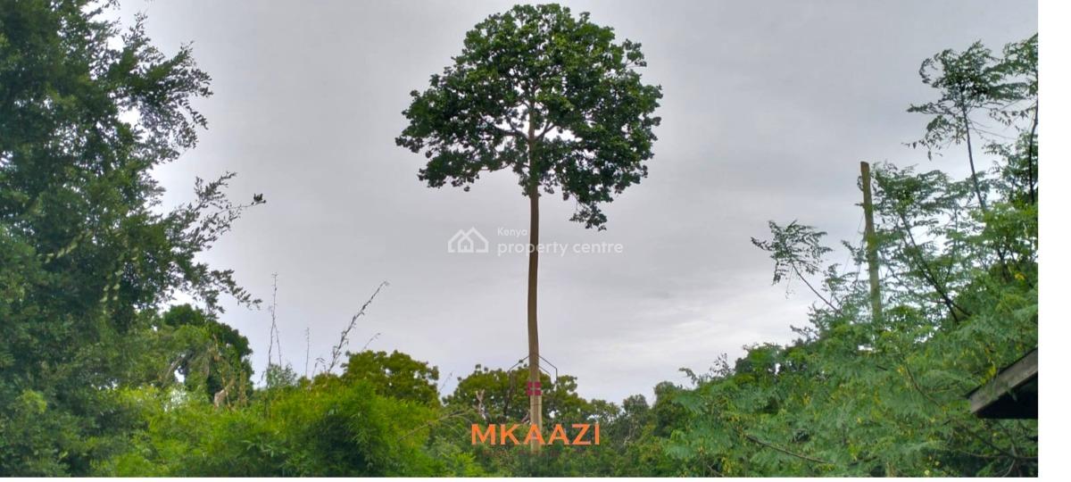 Prime Quarter-acre Investment Plots Next to Mwembe Resort, Ma, Mwembe Resort, Malindi Town, Kilifi, Land for Sale