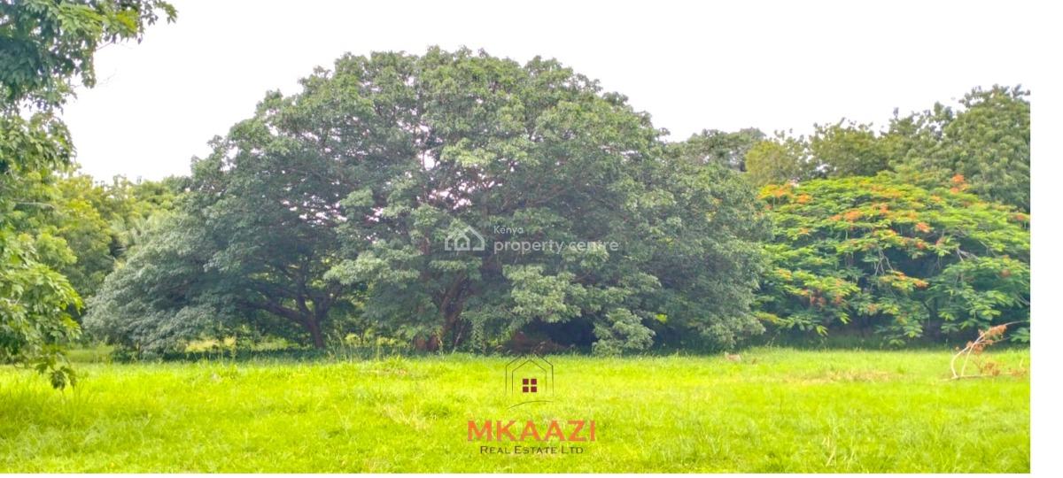 Prime Quarter-acre Investment Plots Next to Mwembe Resort, Ma, Mwembe Resort, Malindi Town, Kilifi, Land for Sale