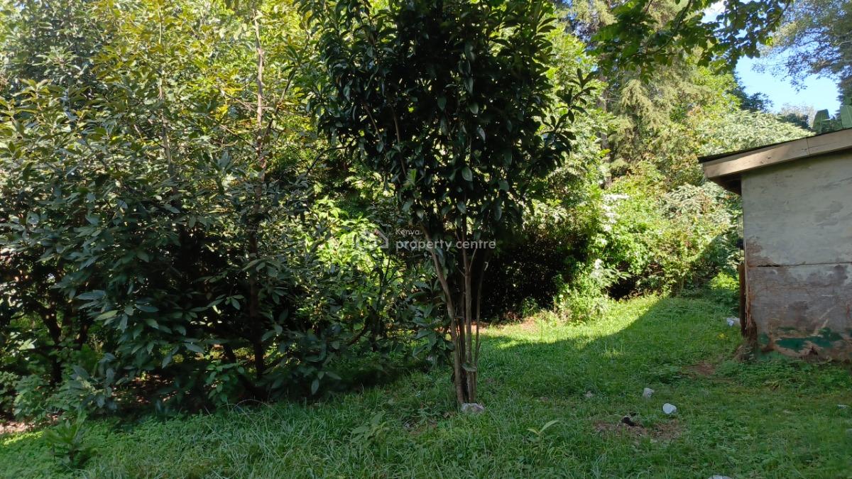 a Very Prime 1 Acre for Villas/private Home, Tende Drive, Lavington, Nairobi, Land for Sale