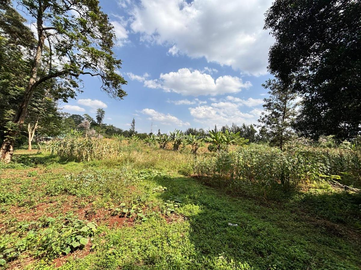 Prime 2.5 Acres Land, Ridgeways, Runda, Westlands, Nairobi, Land for Sale